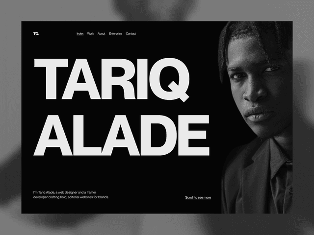 Tariq template preview